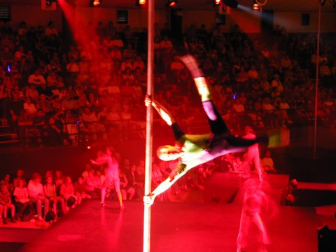 Cirque Pop