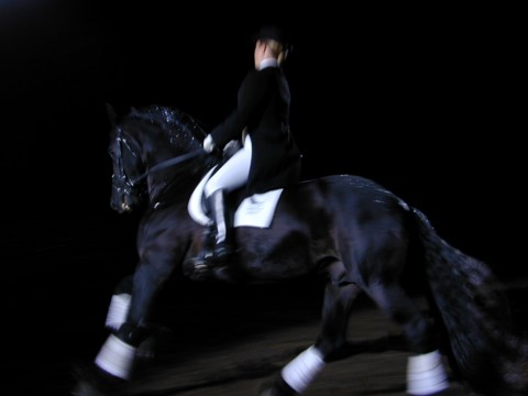 Dressage