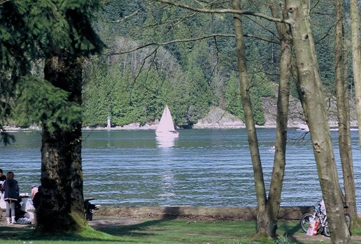 Sailboat