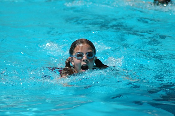 Grade 5 Guppy