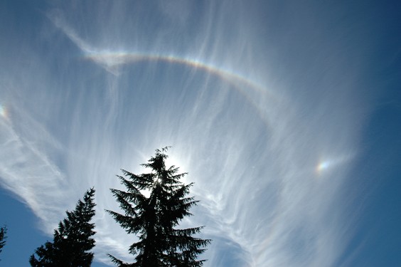 Sun, Halo, Upper Tangent Arc, Parhelic Circle, and Parhelia