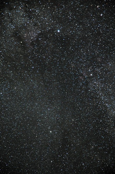 Cygnus