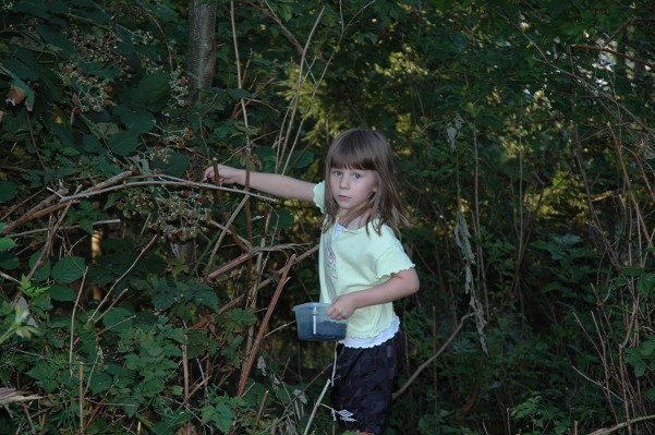 Jessica picking blackberries