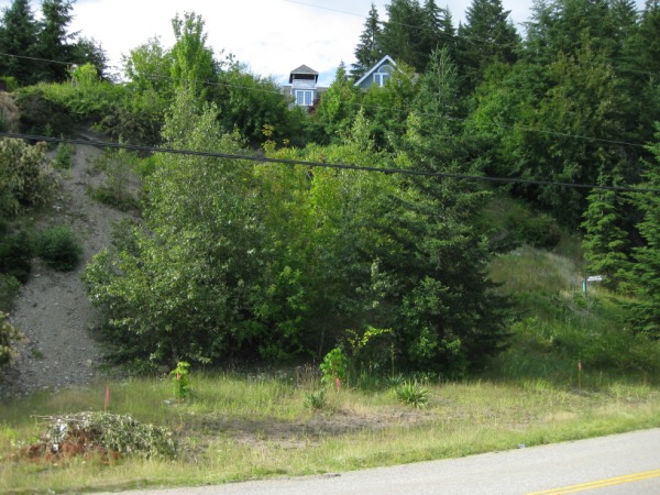 Miller's Mountain