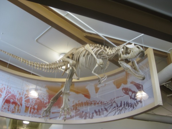 Dinosaur Provincial Park