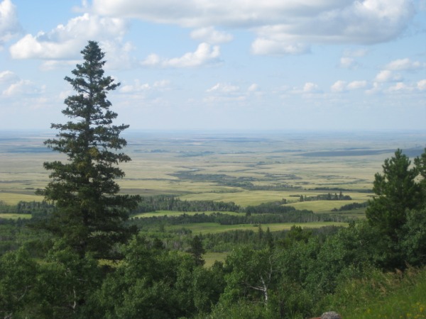 Cypress Hills Provincial Park