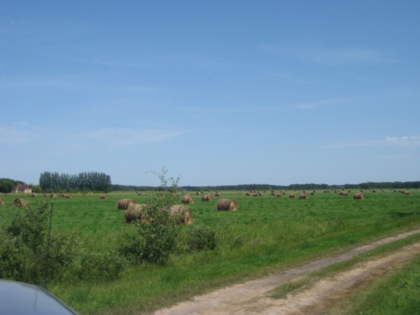 Manitoba Hay Bales