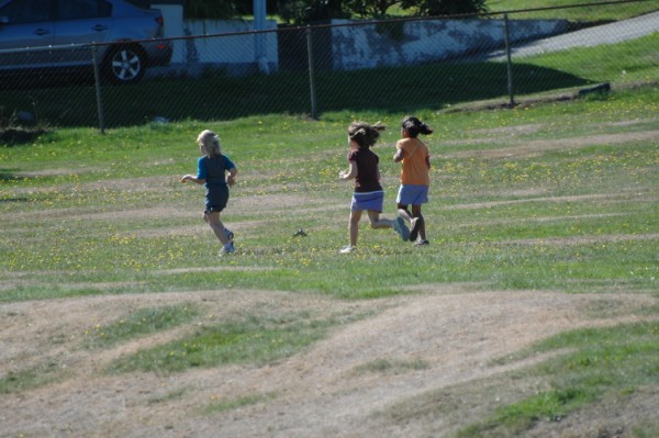 Terry Fox Run