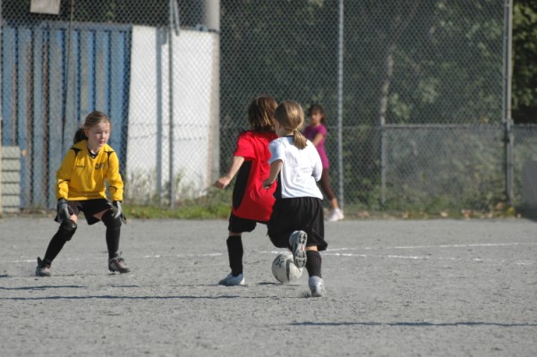 Gryphons Soccer