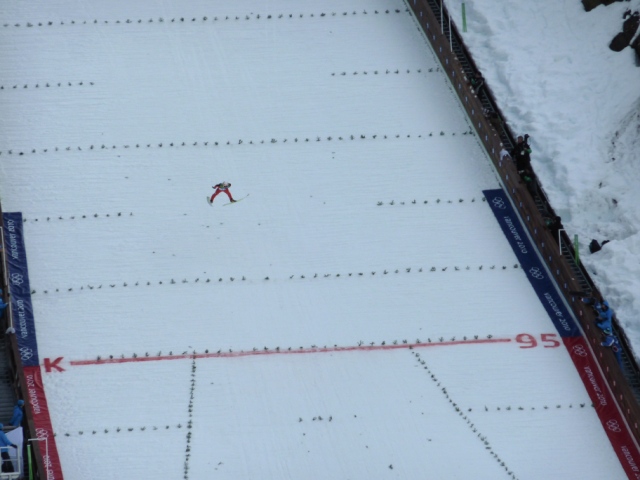 Ski Jumper