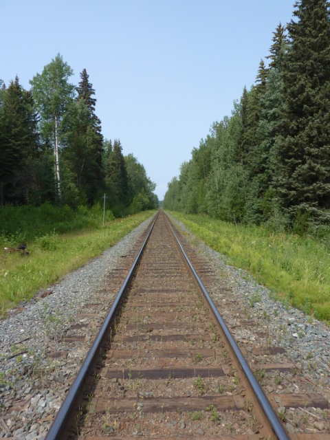 Tracks
