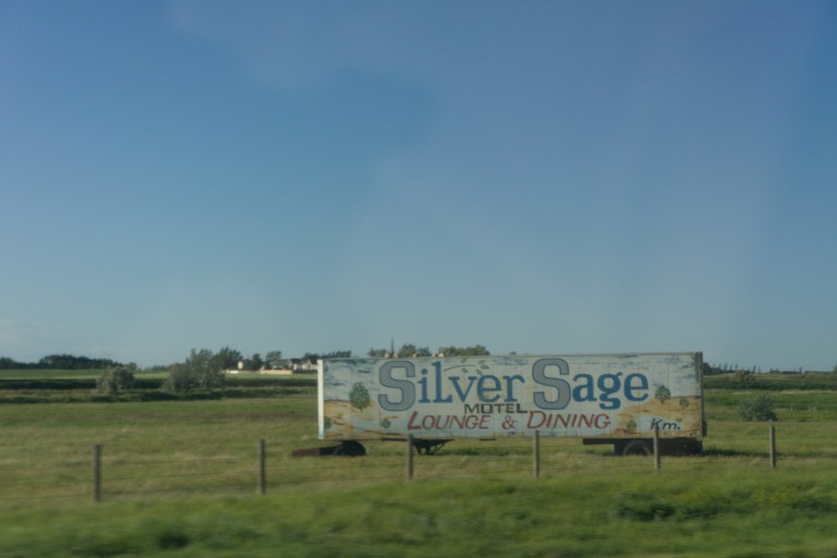 Silver Sage