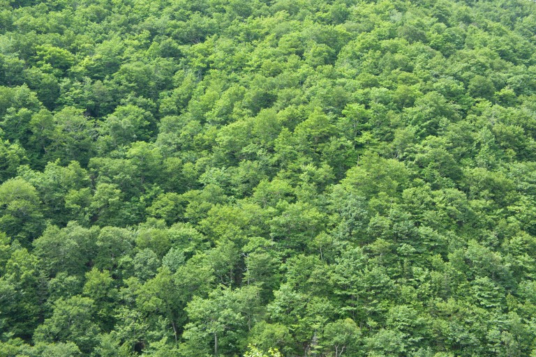 Cabot Trail
