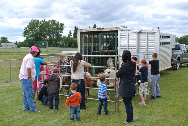 Petting Zoo