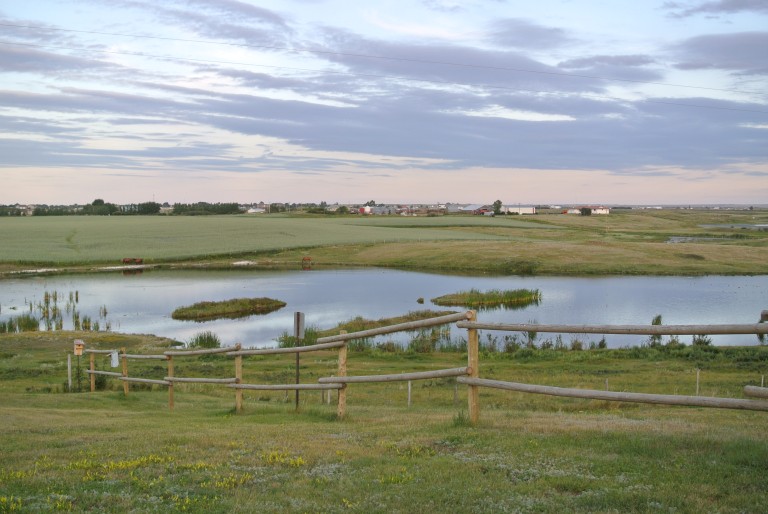Fox Lake Park