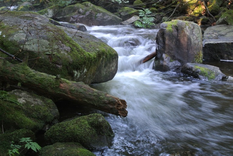 Rolley Creek