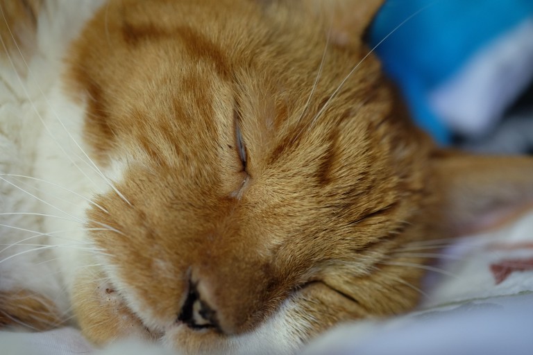 Benny