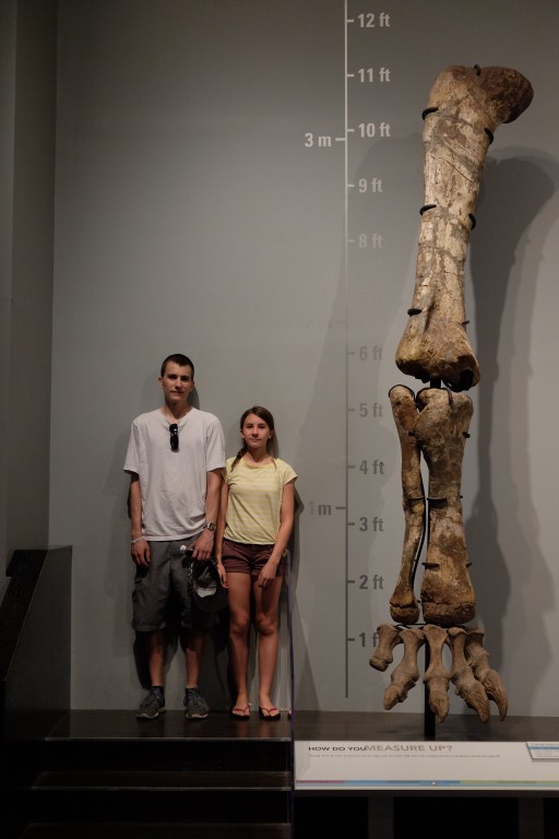 Measuring Up