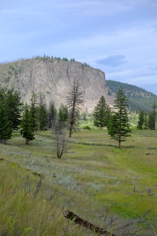 Bull Canyon