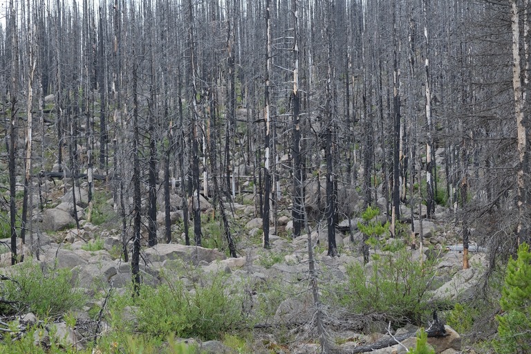 Tweedsmuir Park