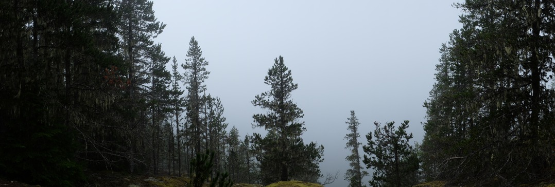 Medby Rock Lookout