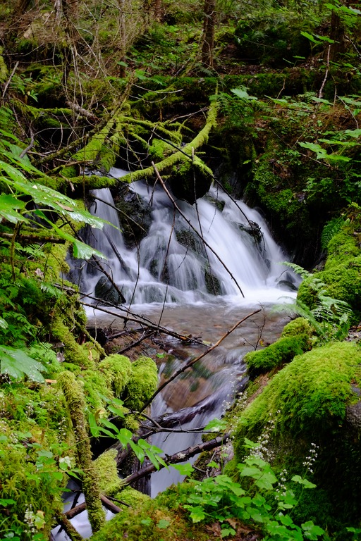 Waterfall