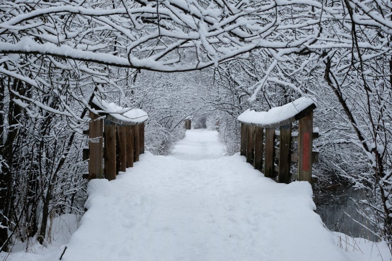 Snowy Bridge