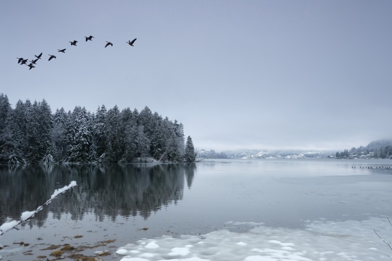 Burrard Inlet