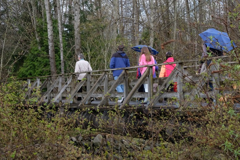 Bridge