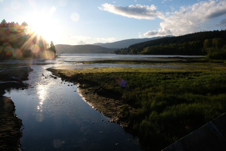 Marsh