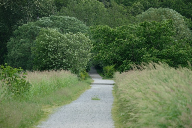 Colony Farm