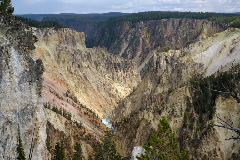 Grand Canyon of Yellowstone