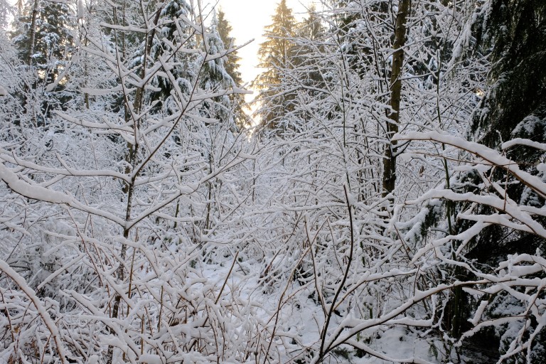 Snow
