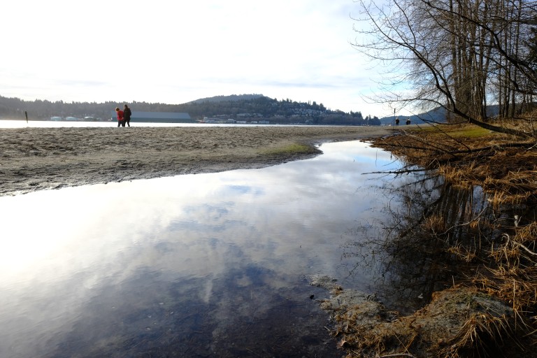Old Orchard Park