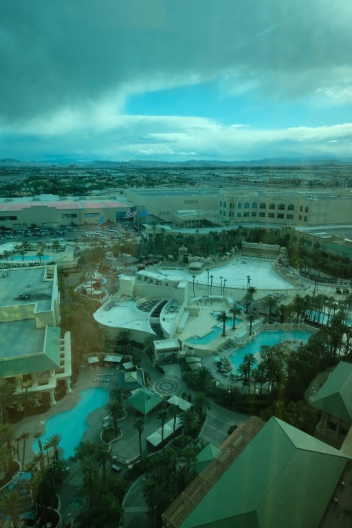 The View