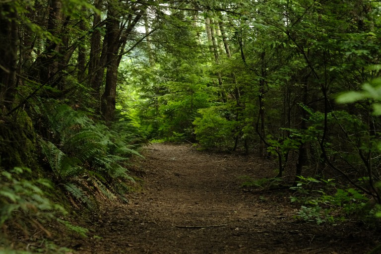 Trail