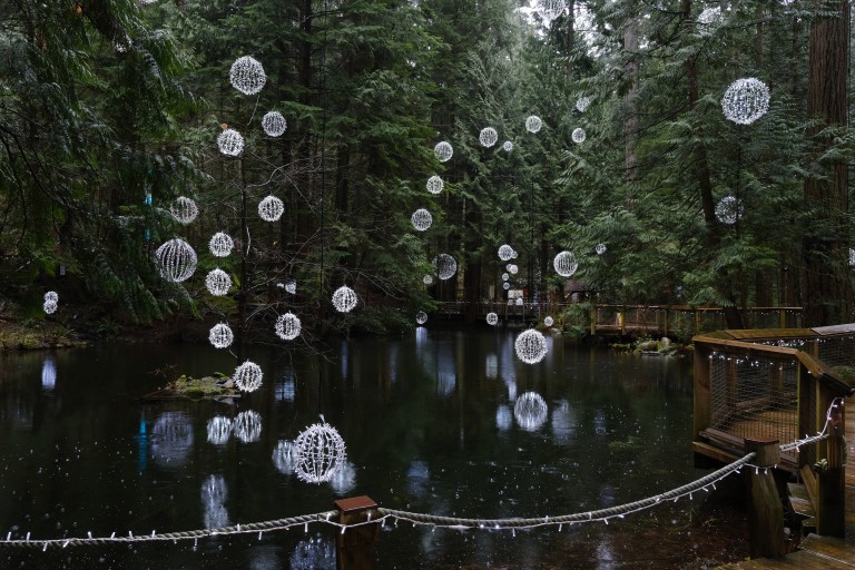 Bubbles