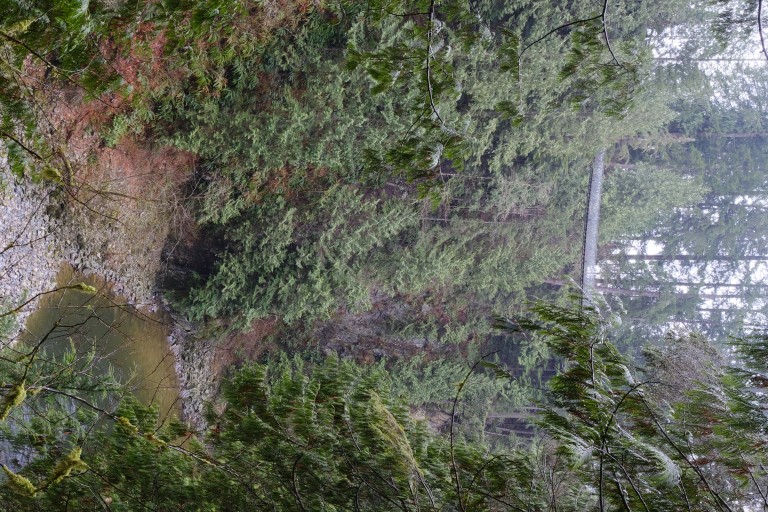 Capilano Suspension Bridge