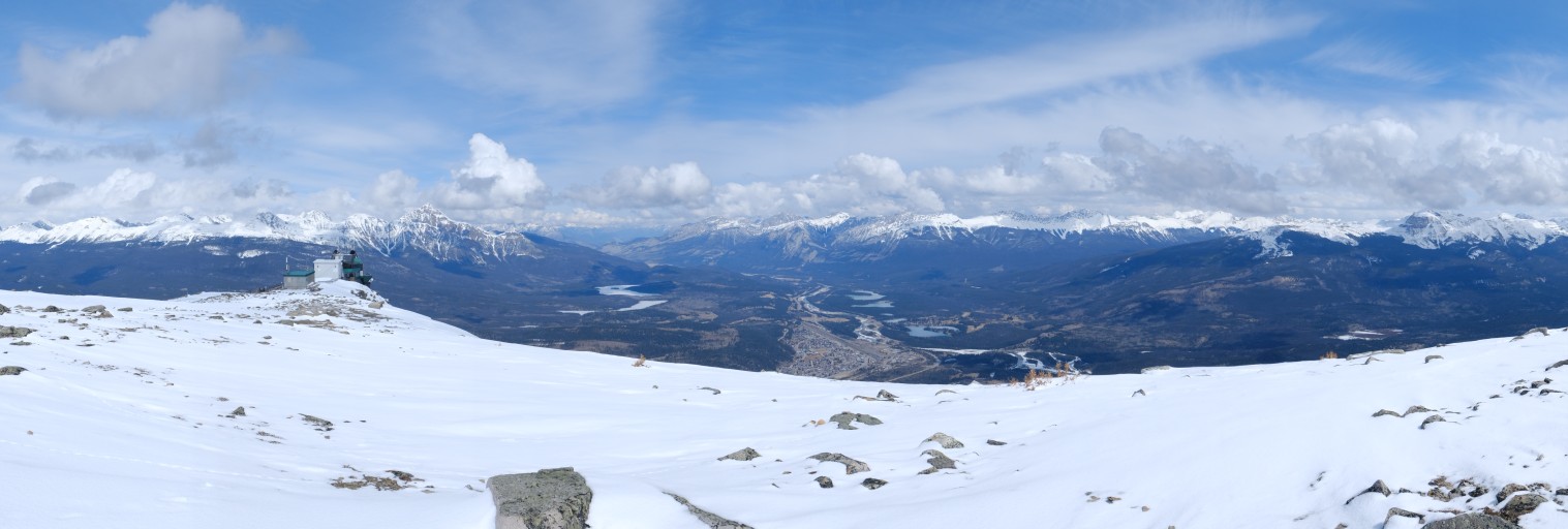 Tram and Jasper