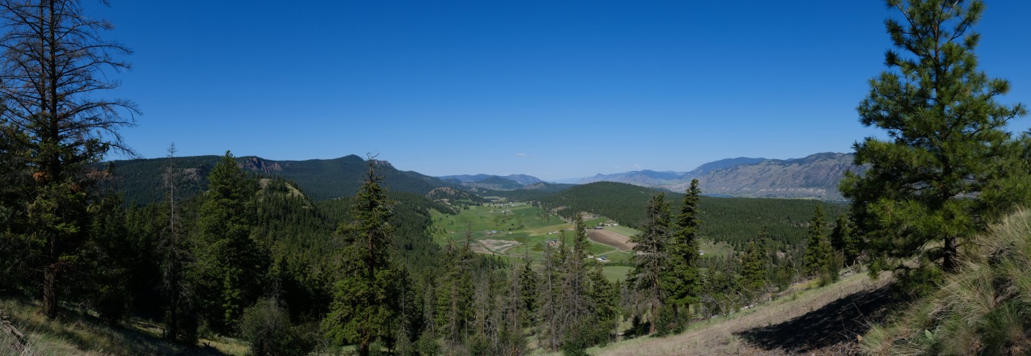 Holmwood