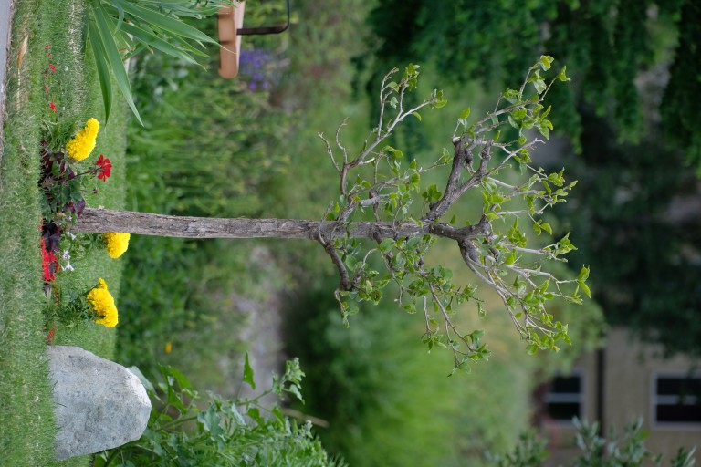 A Tree