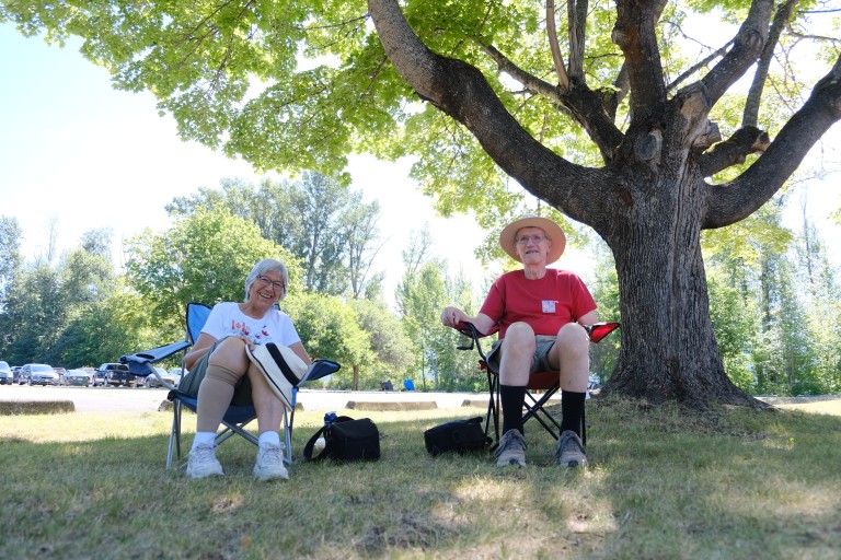 Under the Tree