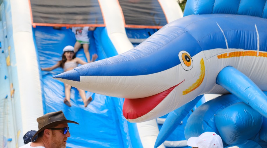 Bouncy Slide