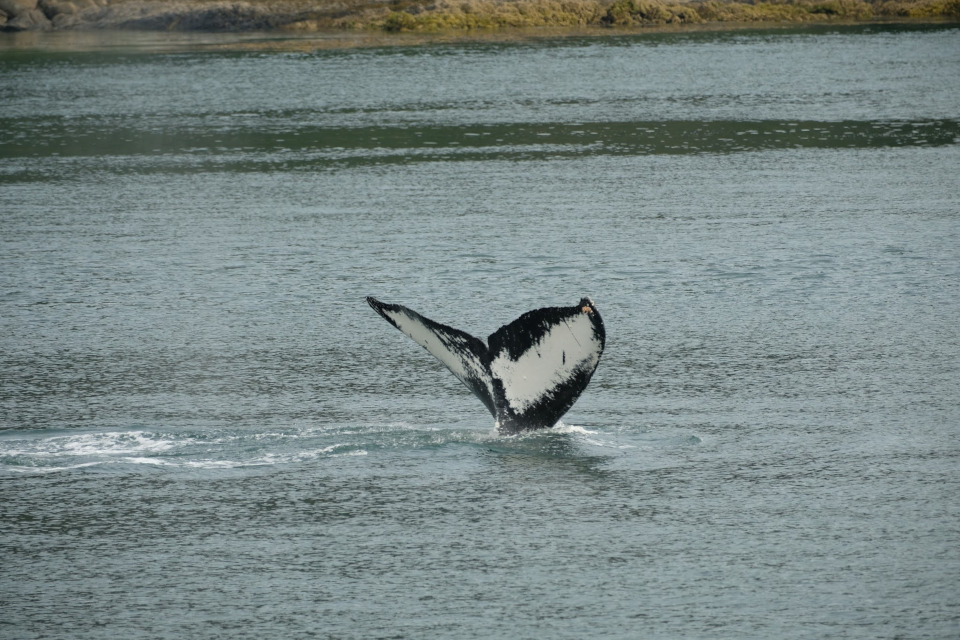 Juneau