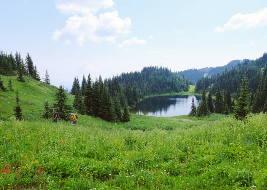 Hikers